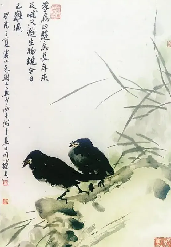 朱颖人·慈鸟
