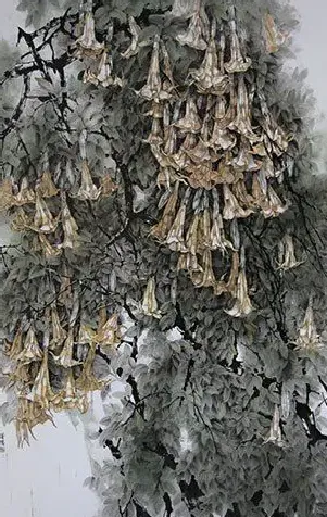张菁慧·《吉祥花开》