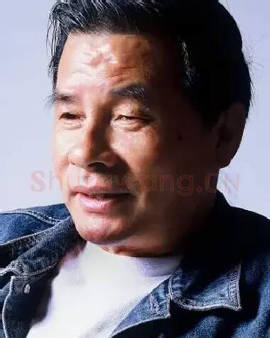 陈文灿