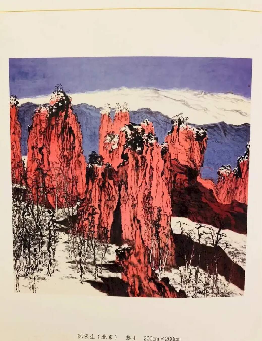 沈胄·热土