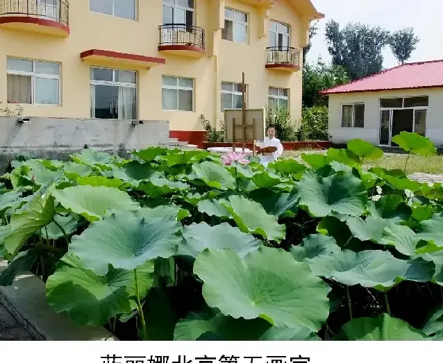 蓝丽娜·蓝丽娜第五画室