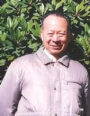 郑炯灶