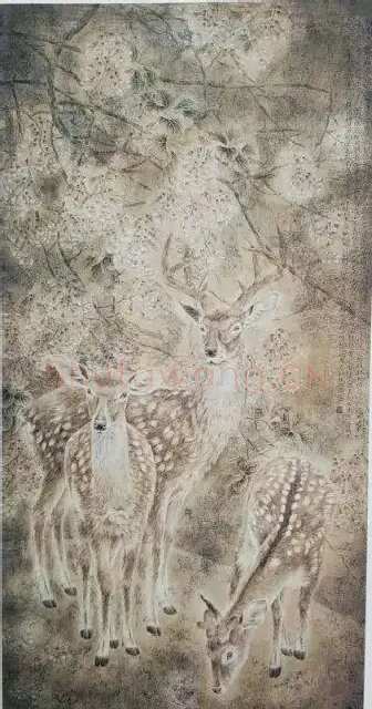 葛利彬·瑞鹿桐花