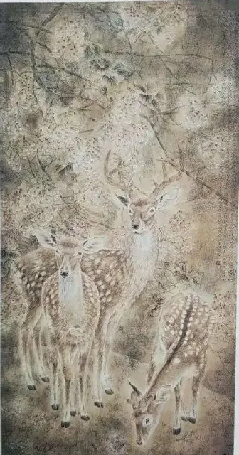 葛利彬·瑞鹿桐花