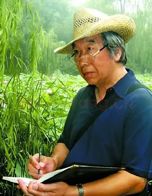 邱军