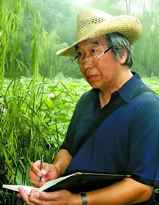 邱军