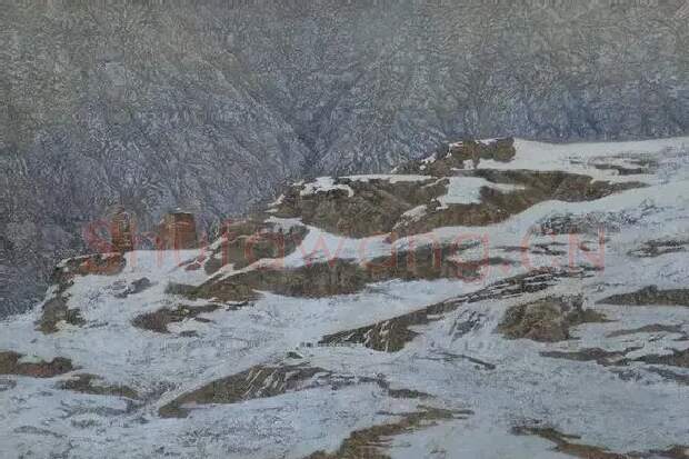 李林·野雪