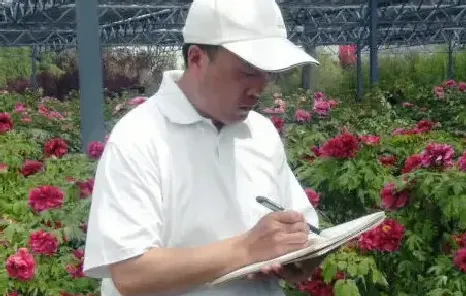 王俊平
