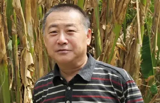 张志平