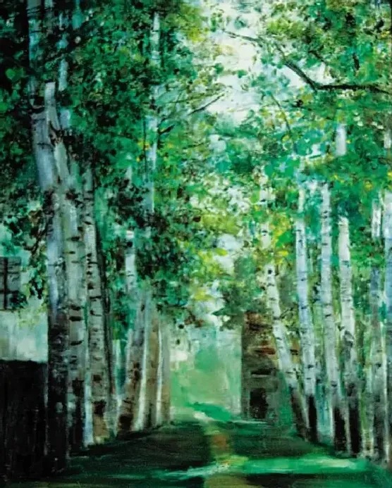 夏粮·北大校园的杨树