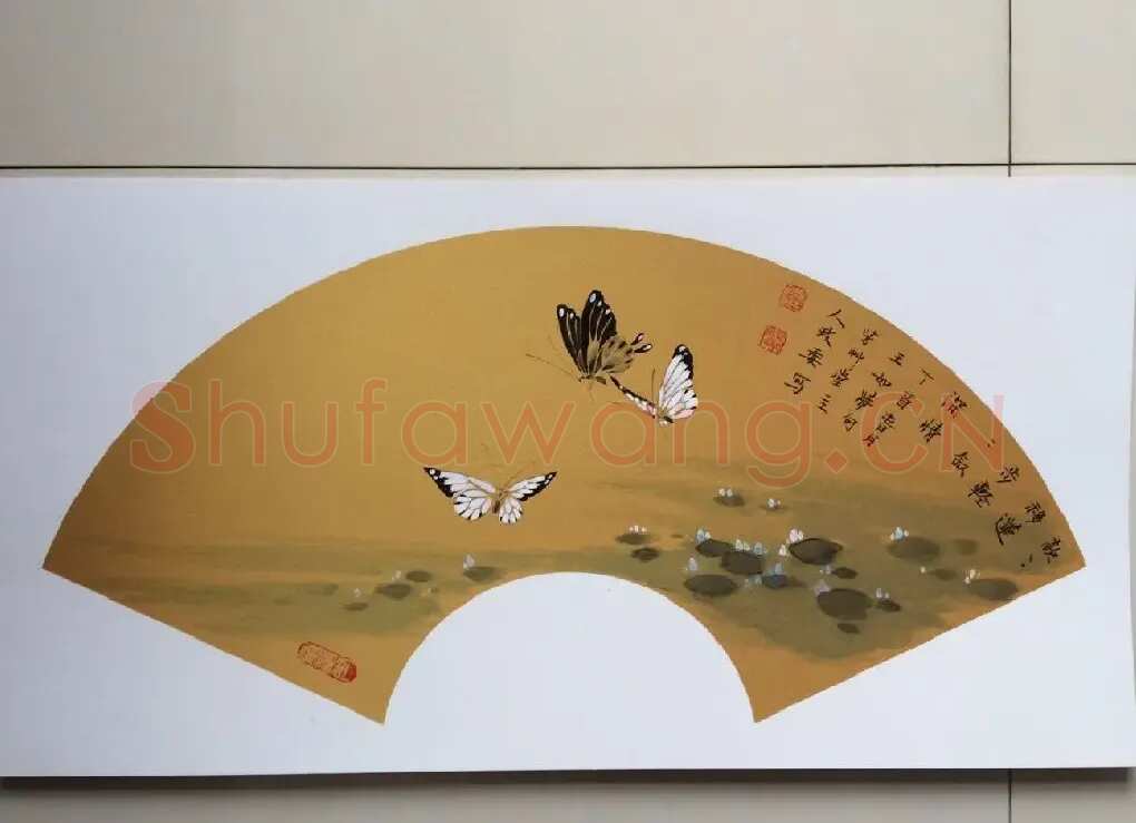 杨政委·蝴蝶