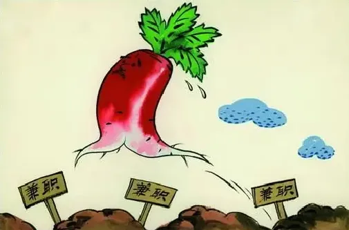 王复羊·一个萝卜几个坑