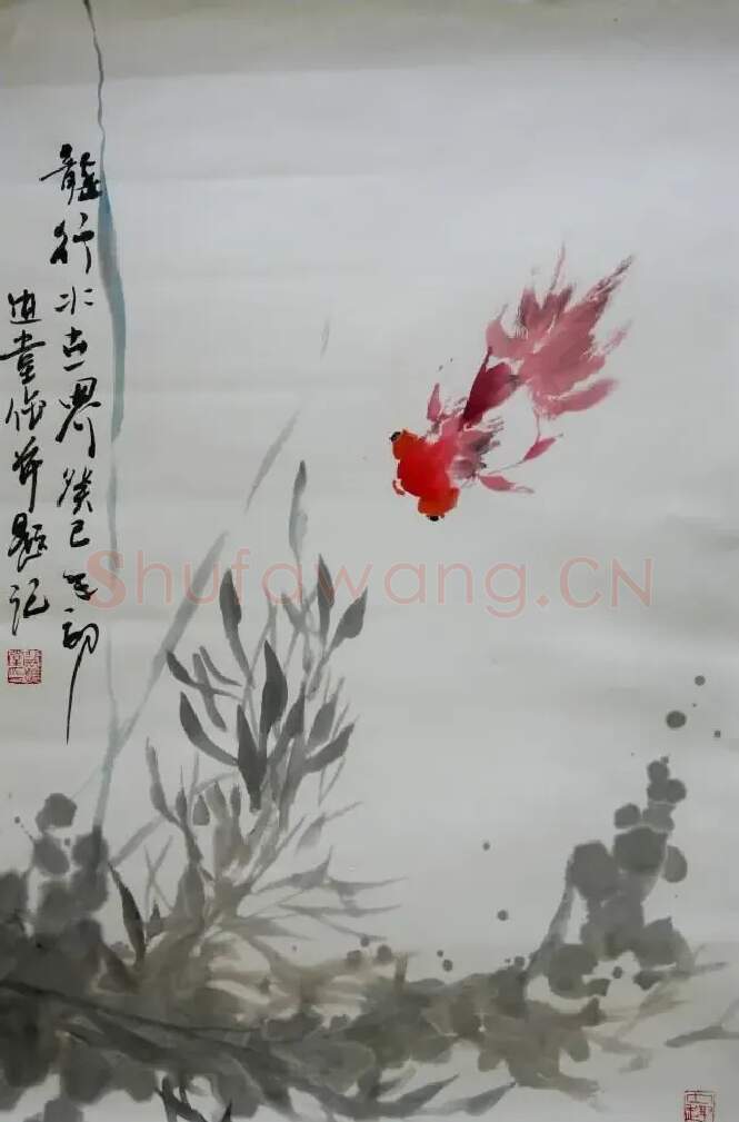 裴进堂·龙行水世界
