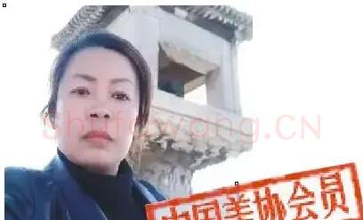 陈红