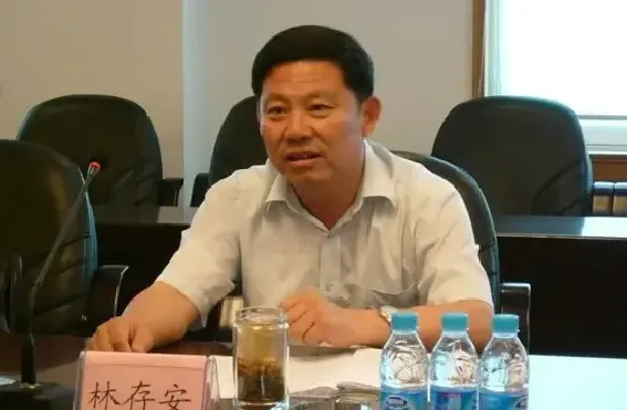 林存安