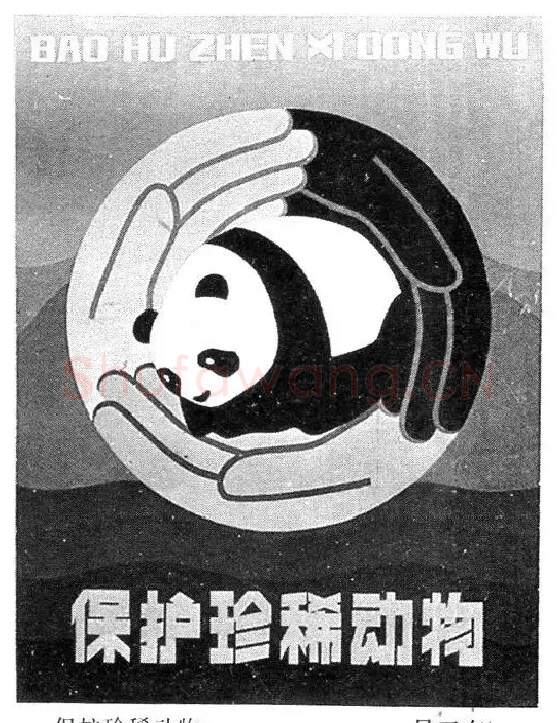 吴卫东·保护珍稀动物
