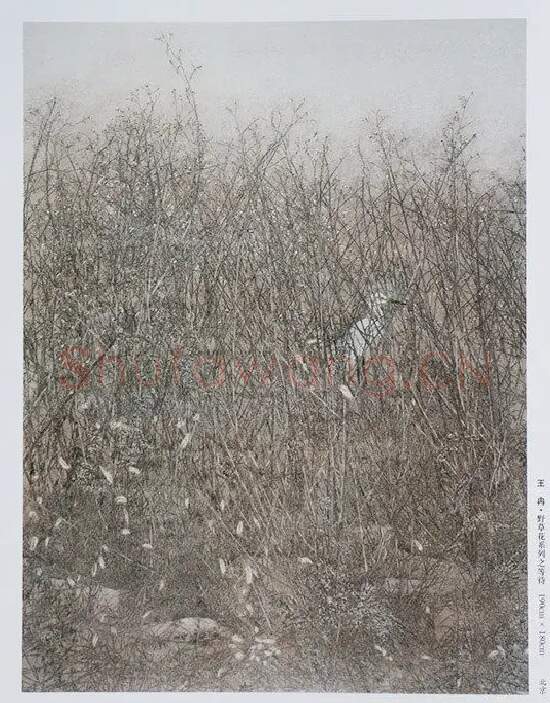 王冉·野草花系列之等待