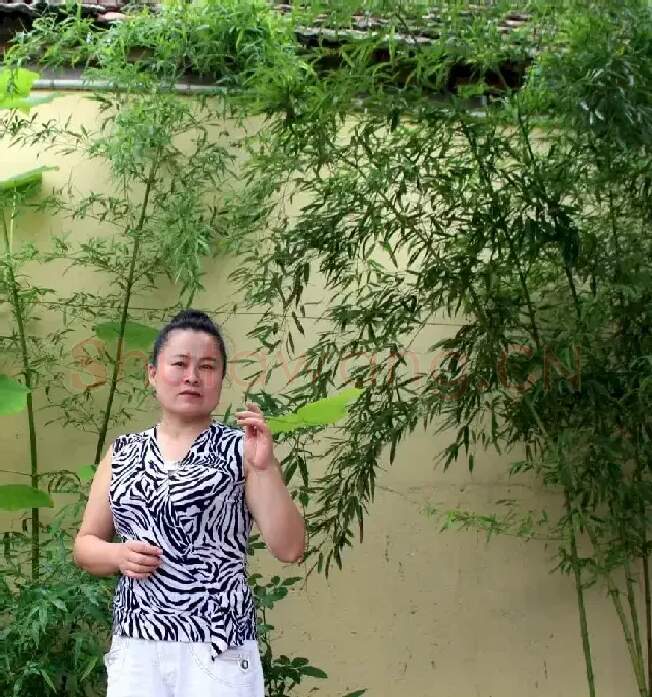 李水云