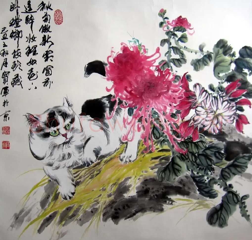 杨宝军·秋菊傲新霜