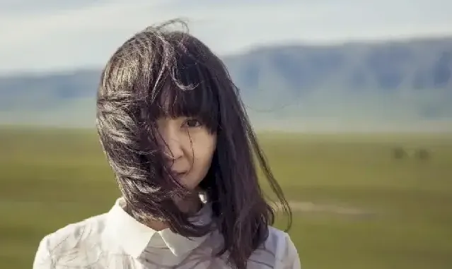 孙晨