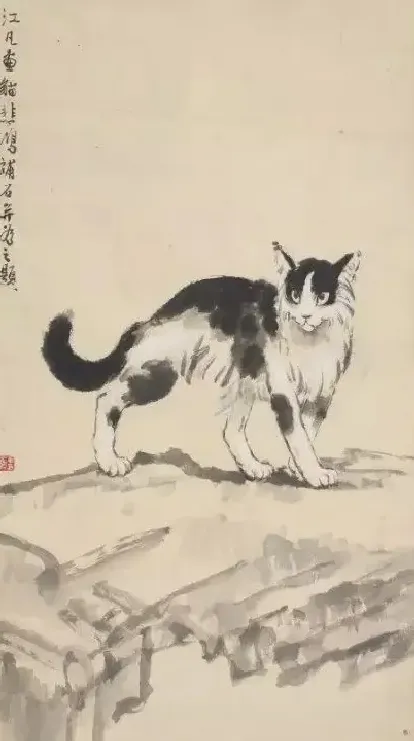韦江凡·猫