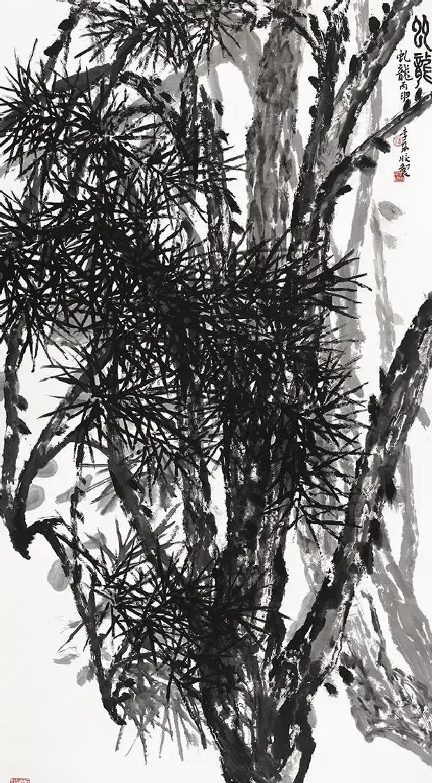 李采姣·虬龙
