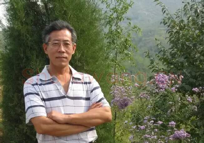 芝光林