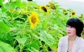 张亚玲