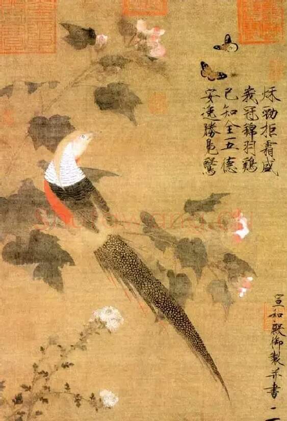 赵佶·芙蓉锦鸡图