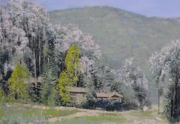 孔阳·泡桐树花开的季节