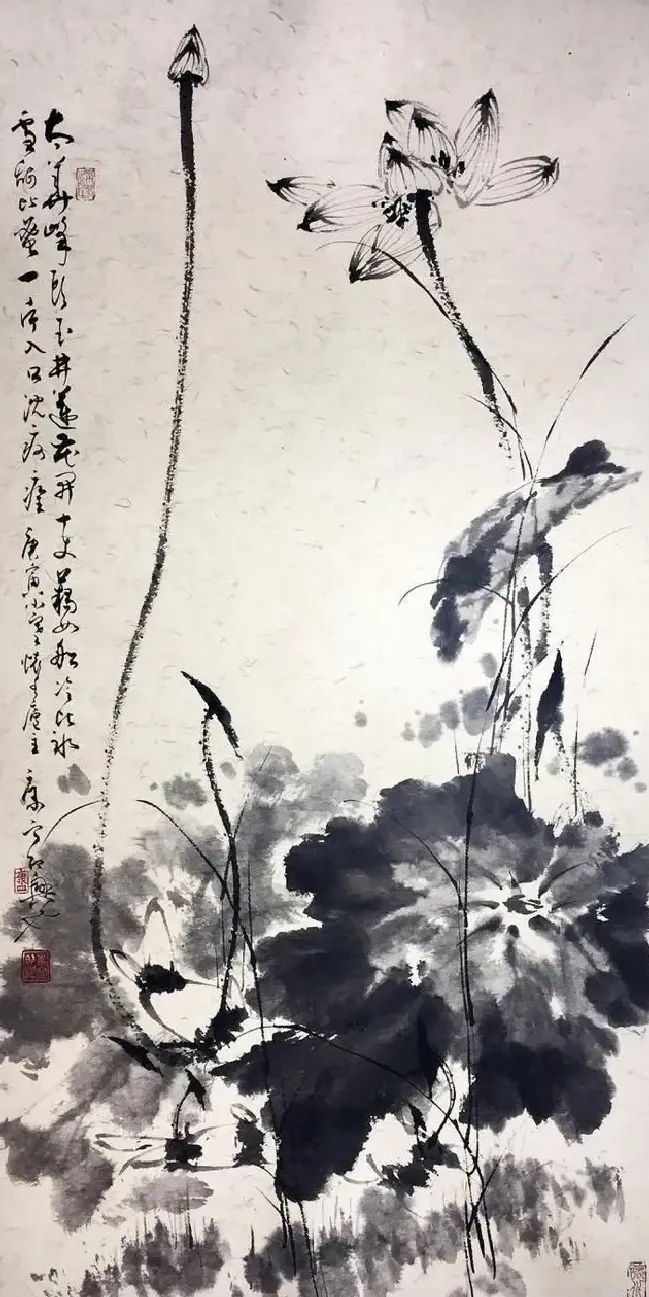 康宁·花开十丈藕如船