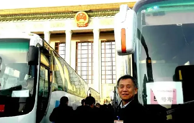 金红炜