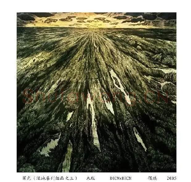 侯琪·作品