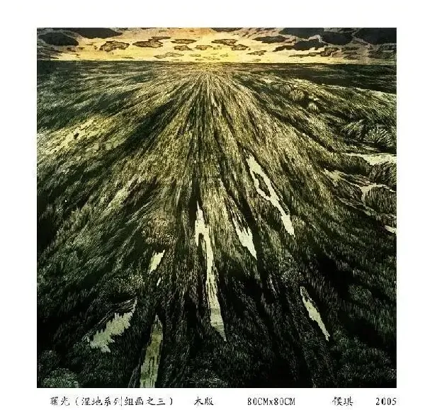 侯琪·作品