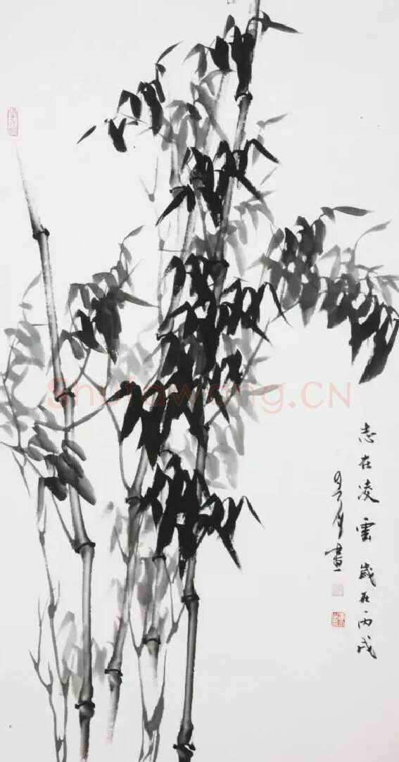 常春月·志在凌云