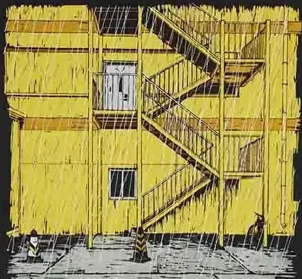 付斌·雨