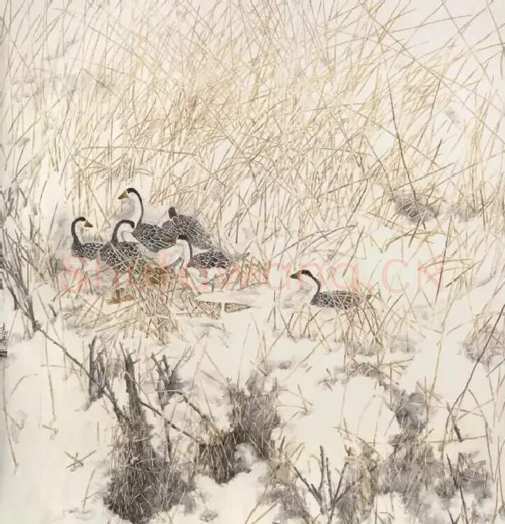 路志香·此处冰雪最无忧