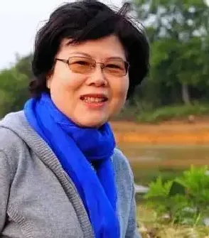 张雷平·张雷平