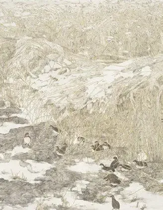 李俊刚·初雪