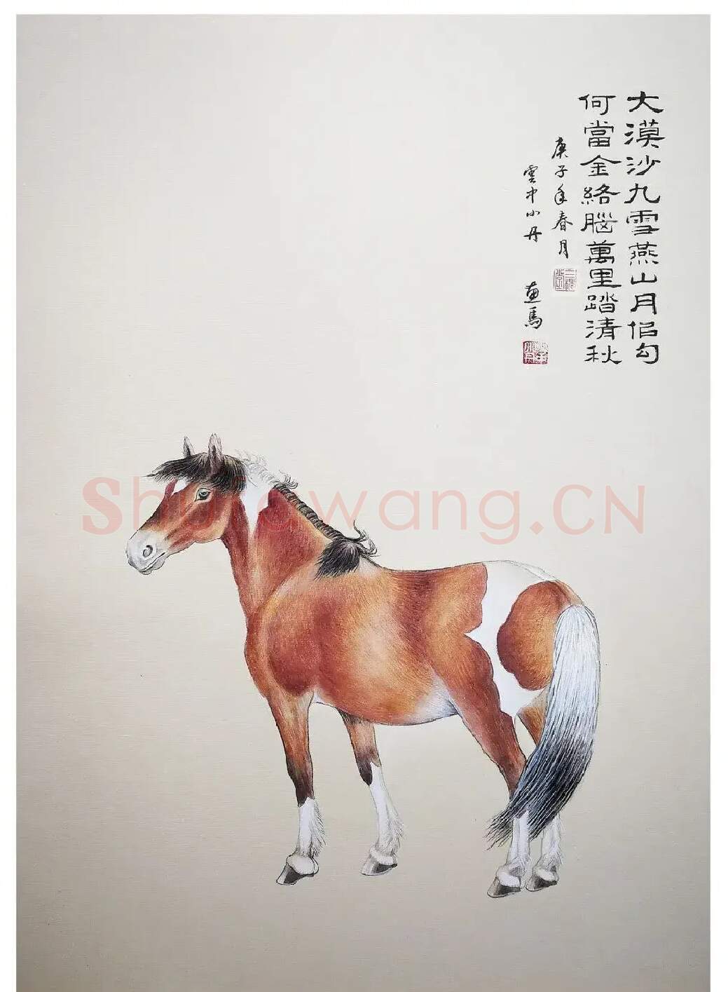 云中小丹·动物习作