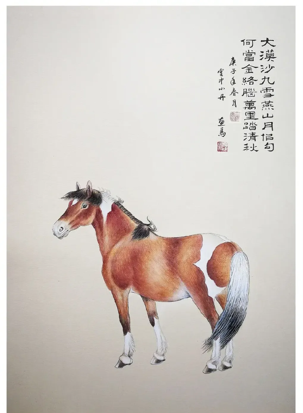 云中小丹·动物习作