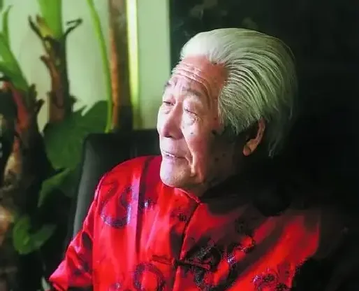 苏铜