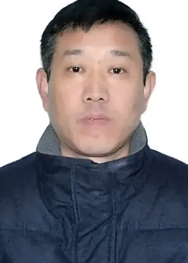 皮伟