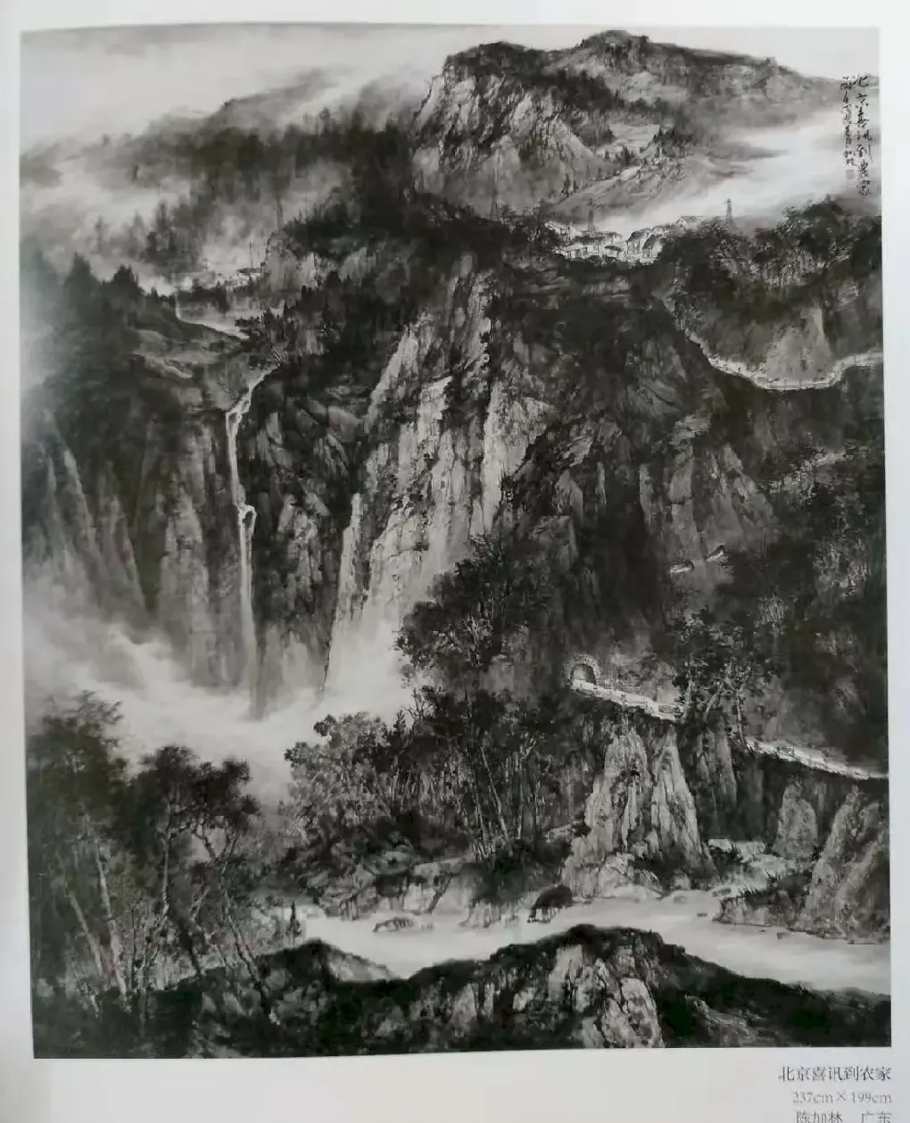 陈加林·北京喜讯到农家