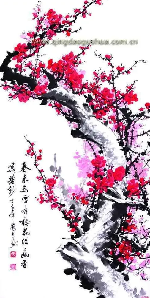 张国长·暗香浮动