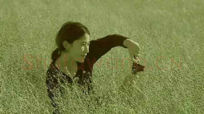 曹明凤·曹明凤