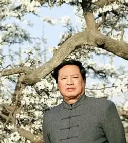 田茂怀