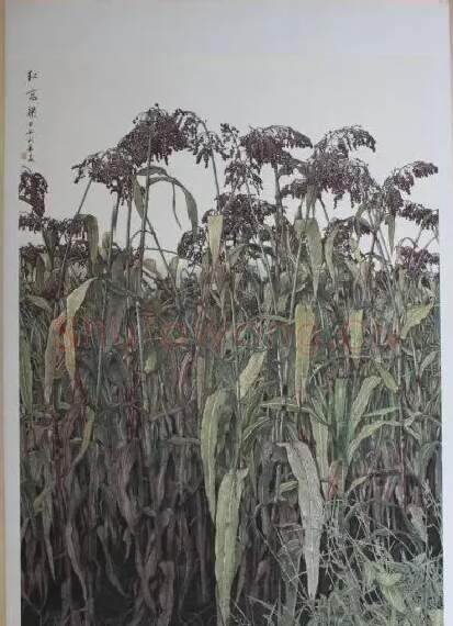 夏利华·红高粱