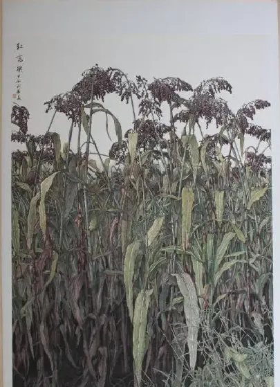 夏利华·红高粱