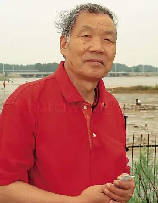 齐辛民